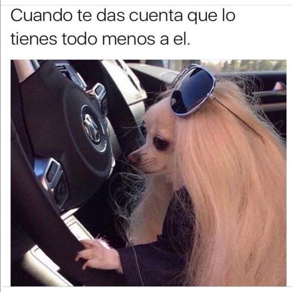 Meet your Posher, Jacqueline